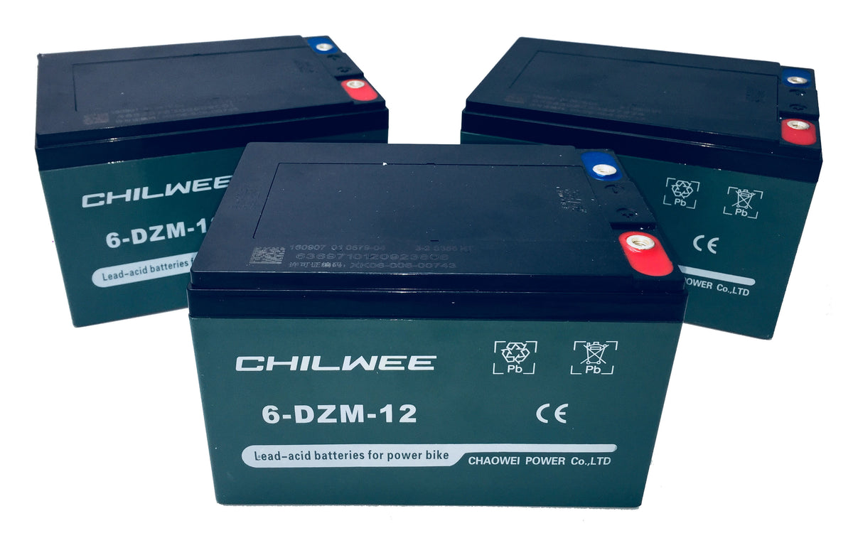 1000W Electric Quad Battery (Set Of 3)