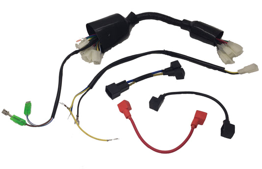 1000W Electric Quad Terminal Wiring