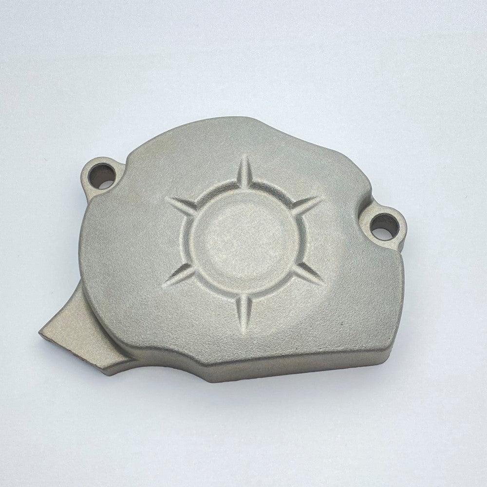 Back Plate Of Left Crankcase Cover