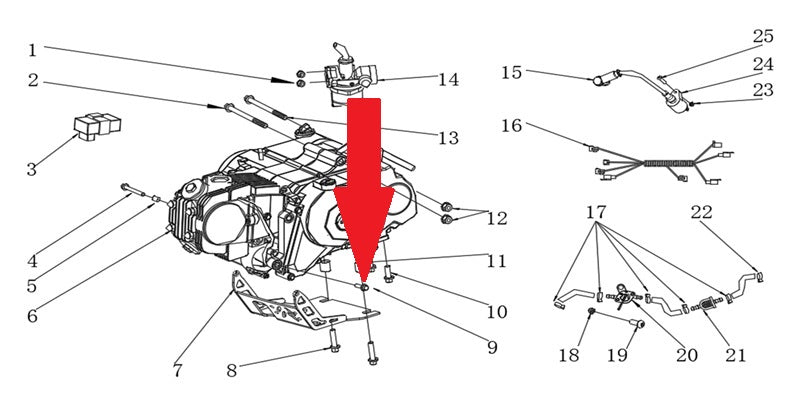 Bolt - RFN Thunder Pro 110cc Dirt Bike