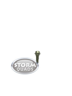 Bolt M6 x 20mm 8.8