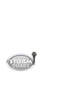 Bolt M6 x 25mm 8.8