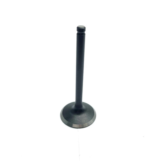 Intake Valve - Panther 110cc