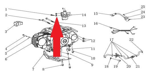 Nut - RFN Thunder Pro 110cc Dirt Bike