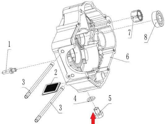 Oil Drain Plug