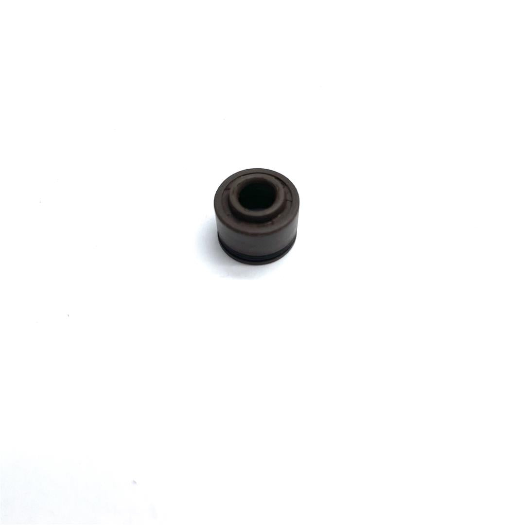 Oil Seal (13.7 x 24 x 5mm) - RFZ 125cc Jaguar Dirt Bike