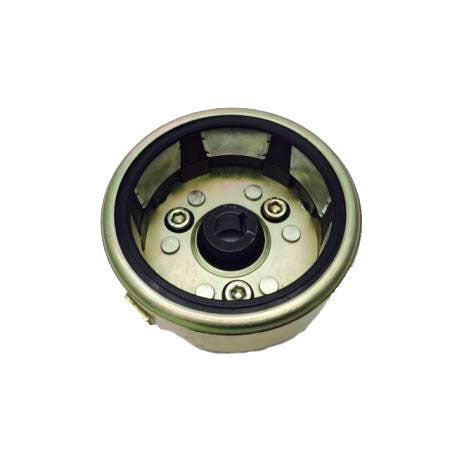 Panther 110cc Rotor Assy Magneto