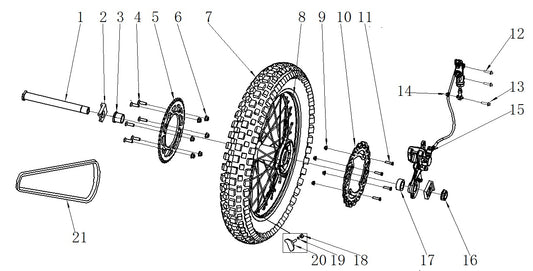 Rear Brake Assembly - Thunder 250cc Dirt Bike