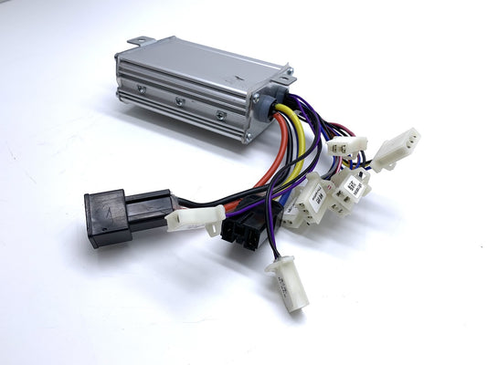 Renegade 1000w 36v Controller