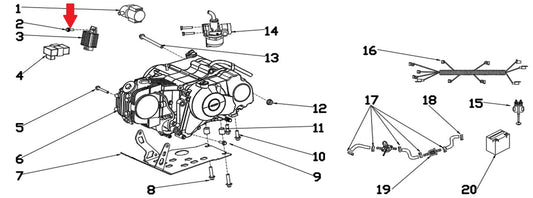 Screw - RFN 70cc / 110cc Thunder Dirt Bike