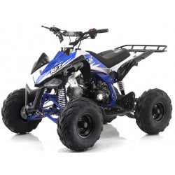 Panther 110cc quad bike - Blue