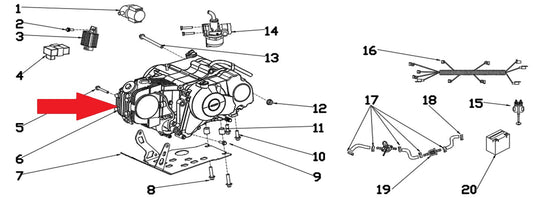 70cc Engine - RFN 70cc Thunder Dirt Bike