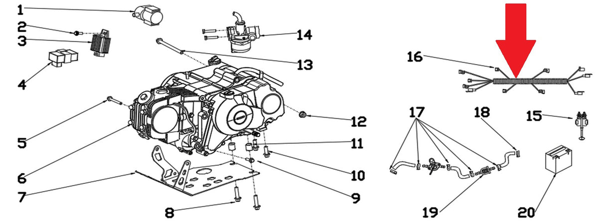 Wiring Harness - RFN 70cc / 110cc Thunder Dirt Bike